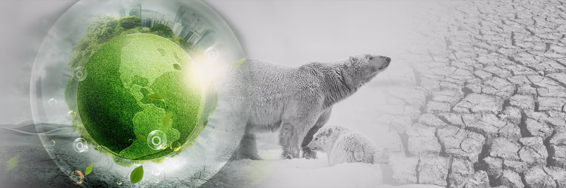 אם לא נהפוך כדור הארץ לא יוכל 